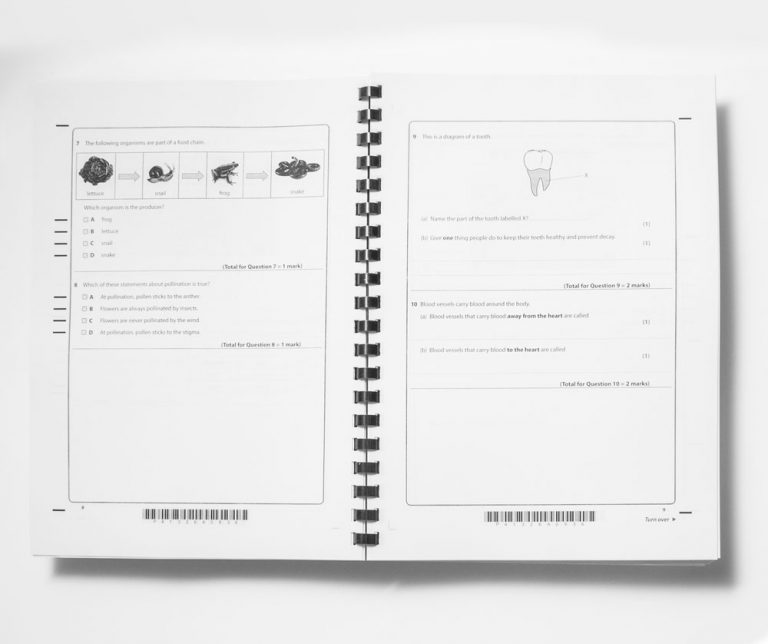Edexcel Pearson Primary Year 6 Science Past Papers Print On Demand